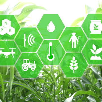 Home Gardening and AI: A Blossoming Partnership - Apnaugao