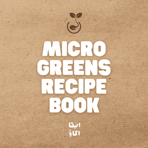 Sprouts, microgreens and baby leaves - how to eat and use in recipes - ApnaUgao