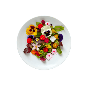 FAQ : Growing Edible Flowers - Apnaugao