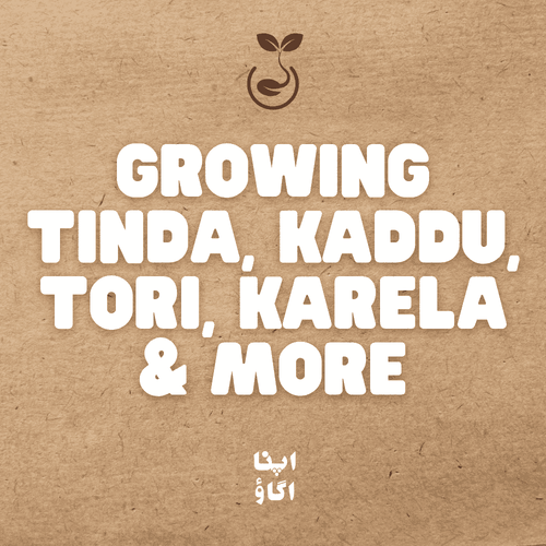 Grow Your Own Gourds: A Complete Guide to Tinda, Kaddu, Tori, Karela & More
