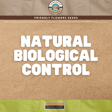 Friendly Flowers for the Eco-Friendly Gardeners πΌ - Apnaugao