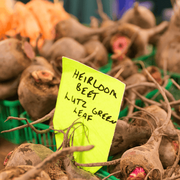 Difference Between Heirloom and Hybrid Seeds - Apnaugao