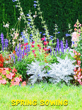 Prepare Your Garden For Spring Sowing - Apnaugao