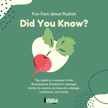 Why One should grow heirloom radish at home? - Apnaugao