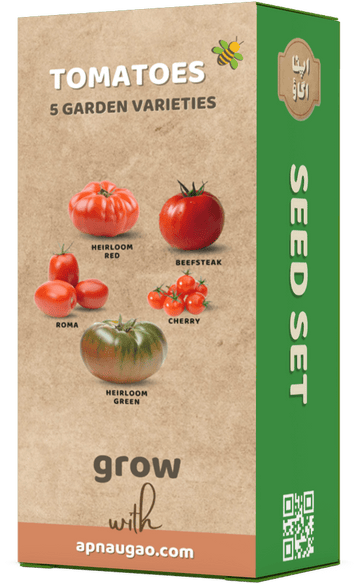 Growing Heirloom Tomatoes in Pakistan: A Guide - Apnaugao