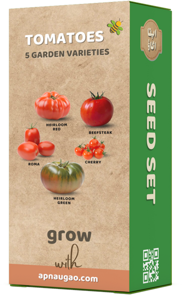 Growing Heirloom Tomatoes in Pakistan: A Guide