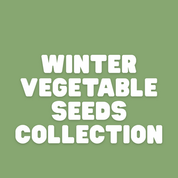 Winter Vegetable Seeds collection - Apnaugao