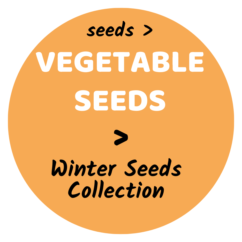 winter vegetable seeds