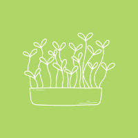 Microgreens - Apnaugao