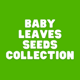baby leaves seeds collection