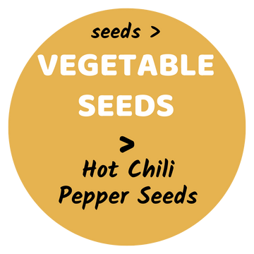Hot Chili Pepper Seeds