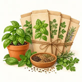 Herb seeds sets – kitchen herb seed kits | Apnaugao