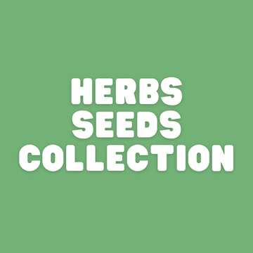 Herbs Seeds collection in Pakistan - Apnaugao