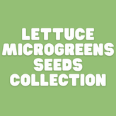 Lettuce Microgreens & Baby Leaf Seeds β Organic Salad Mixes - Apnaugao