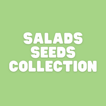 all types of salads seeds for home gardening in Pakistan