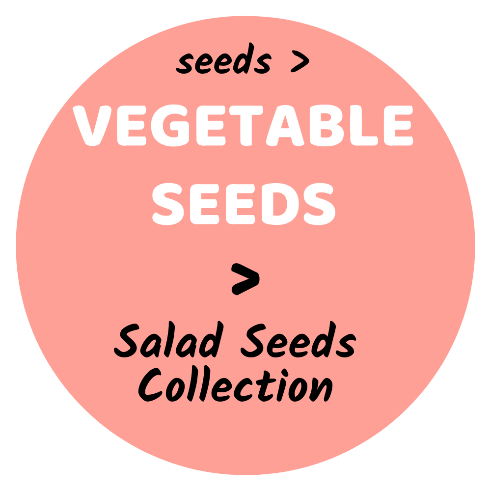 salad seeds
