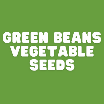 French Beans - Apnaugao