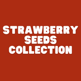 Strawberry Seeds - Apnaugao