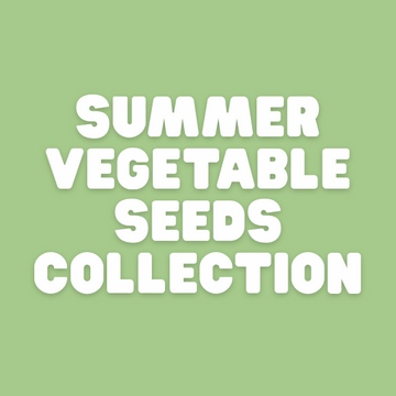 all summer vegetable seeds for home gardening in Pakistan
