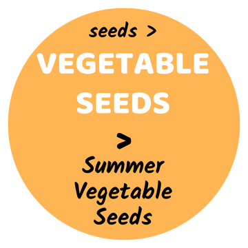 summer vegetable seeds