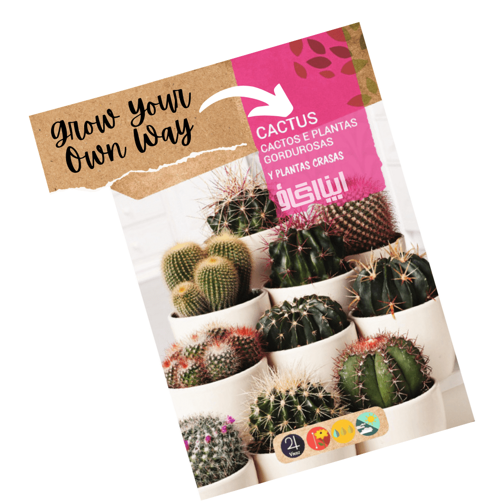 Cactus Plants Desert Mix Perennial Seeds - Apnaugao