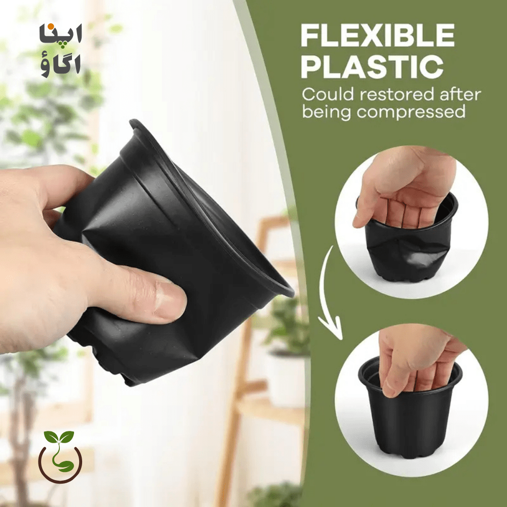 Black Plastic Pots 5" Set of 10 Pieces - Apnaugao