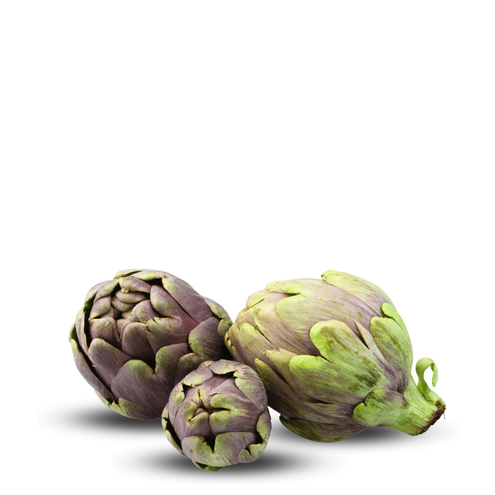 Heirloom Artichoke Organic Seeds - Romagna Violet - Apnaugao