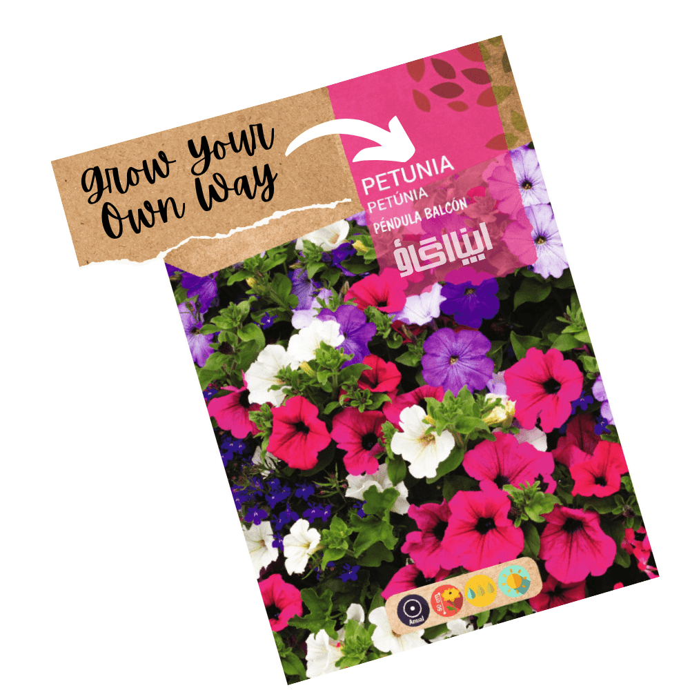Petunia Balcony Hanging Mix Hybrid Flower Seeds - Apnaugao
