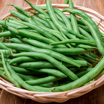 Bush Beans Seeds Green Podded Contender - Apnaugao
