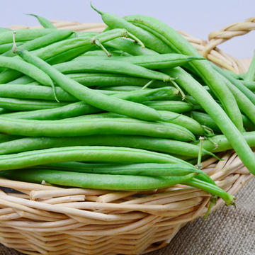 Bush Beans Seeds Green Podded Provider