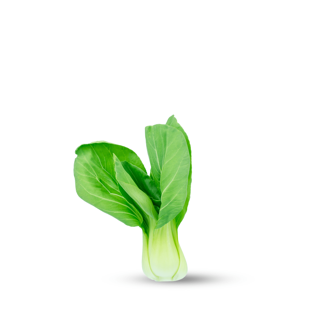Heirloom Pak Choi / Bok Choi Seeds - Apnaugao