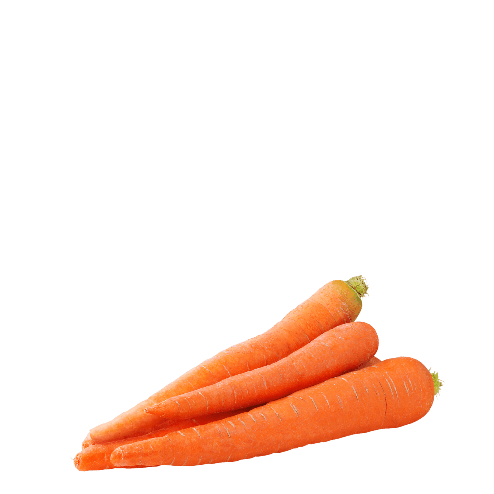 Heirloom Carrots Seeds - Red - Toro - Apnaugao