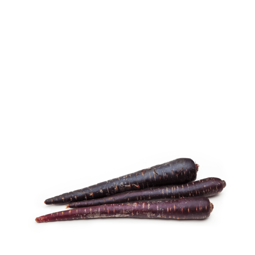 Heirloom Carrots Seeds - Black - Pastenaga negra - Apnaugao
