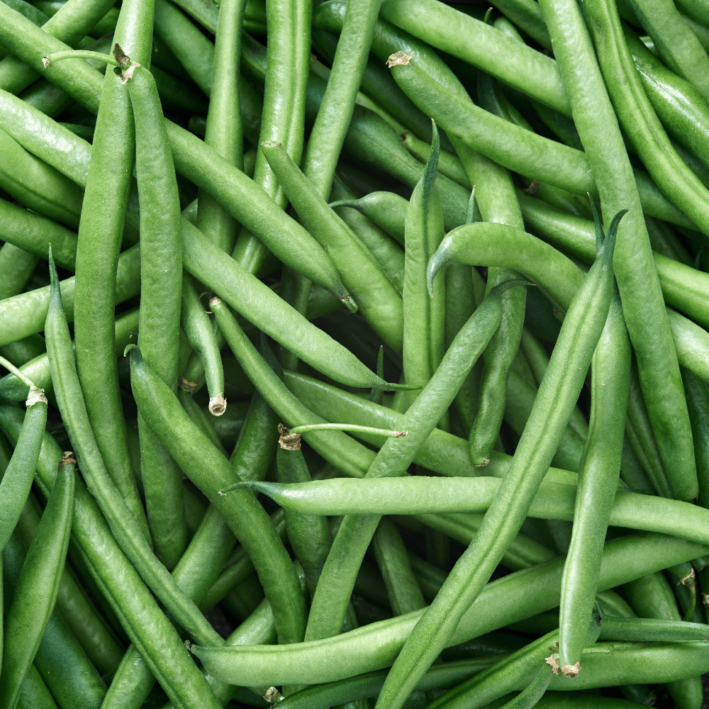 Climbing Beans Seeds Green Podded Blue Lake White Seeded - Apnaugao
