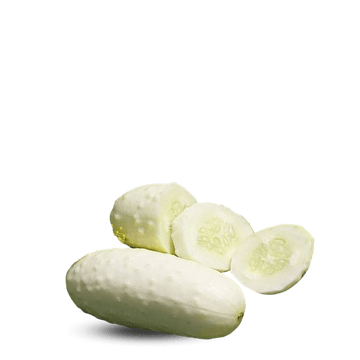 Heirloom Cucumber Seeds - White wonder