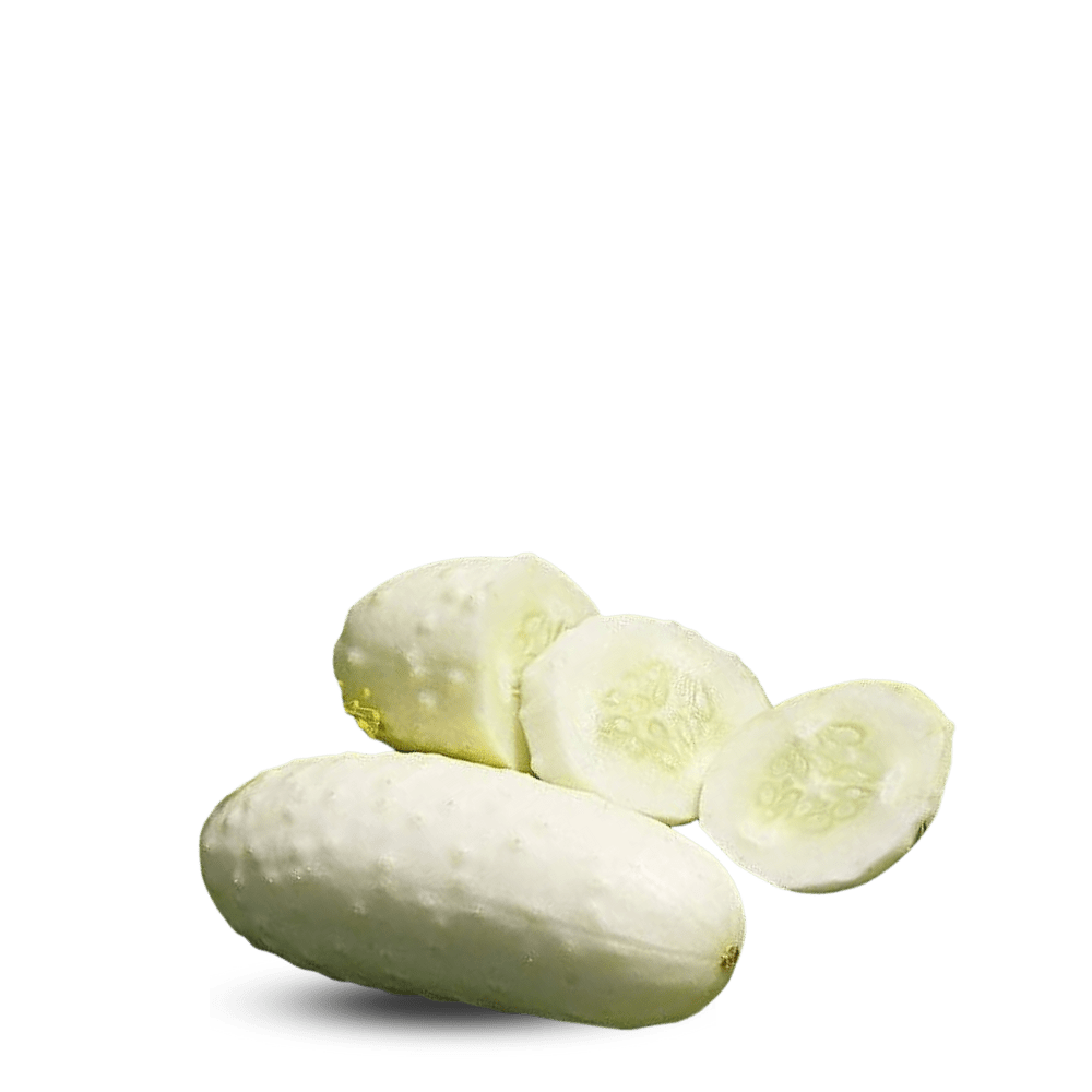 Heirloom Cucumber Seeds - White wonder - Apnaugao
