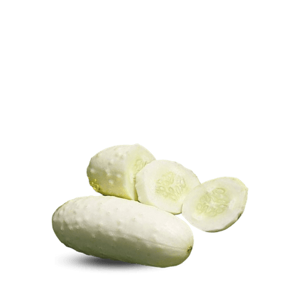 Heirloom Cucumber Seeds - White wonder - Apnaugao