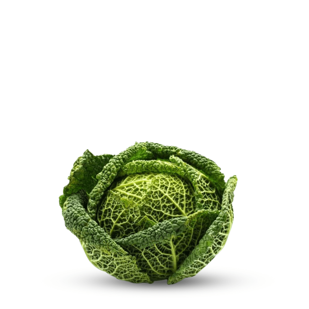 Savoy Cabbage Cabbage Aubervilliers Seeds - Apnaugao