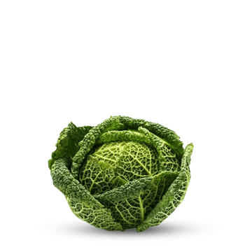 Savoy Cabbage Cabbage Aubervilliers Seeds - Apnaugao