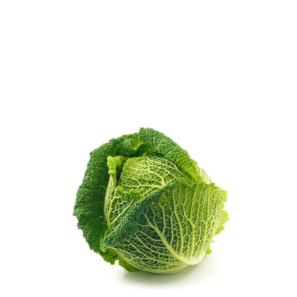 Savoy Cabbage Cabbage Virtudes Seeds - Apnaugao