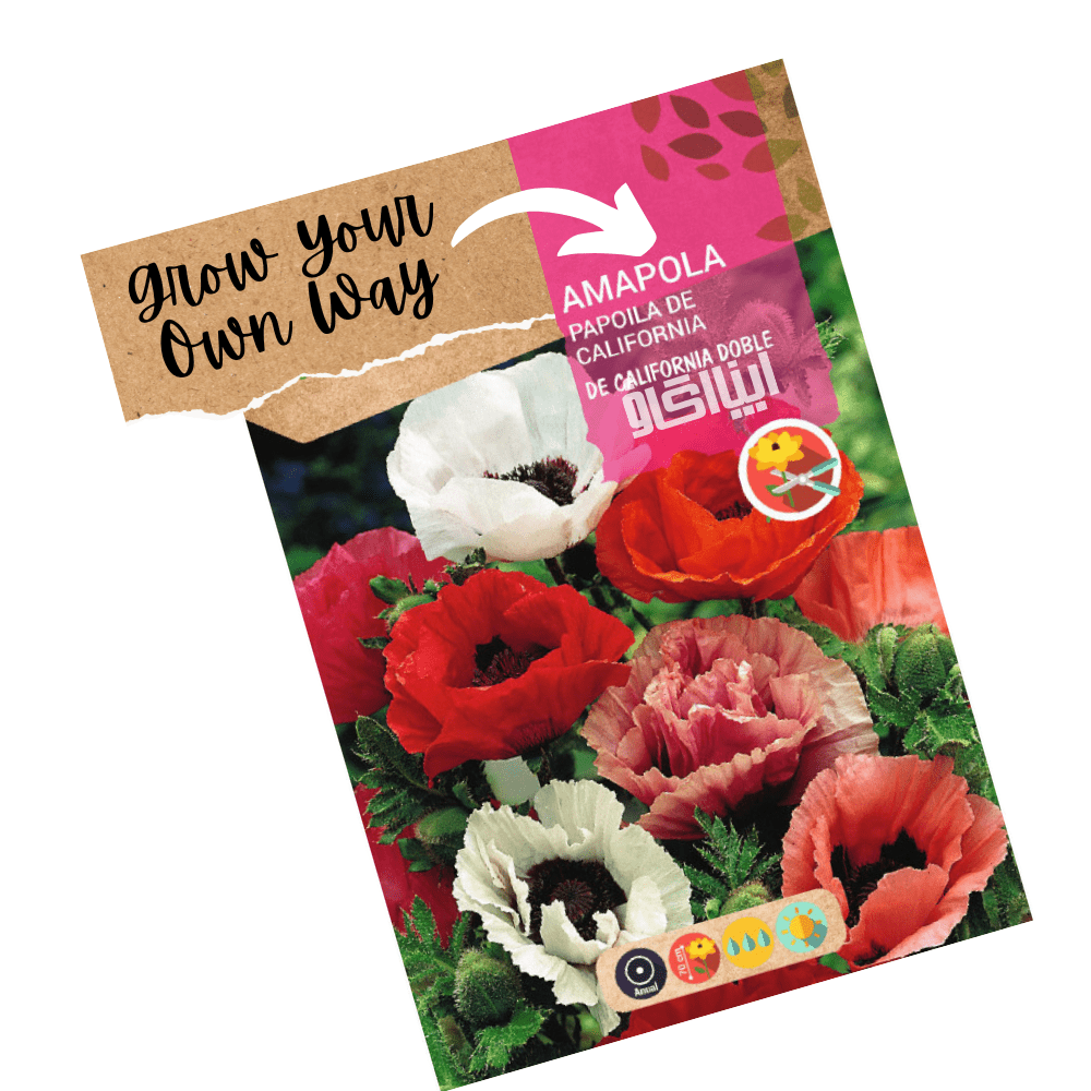 Californian Poppy Double Mix Flower Seeds - Apnaugao