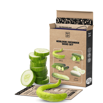 Heirloom Mediterranean Cucumber Seeds Set - Apnaugao