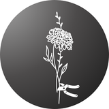 ApnaUgao cut flower seeds – High-quality flowers for vases and gifting.