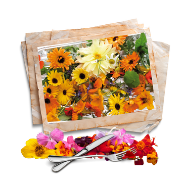 edible flower seeds banner by apnaugao
