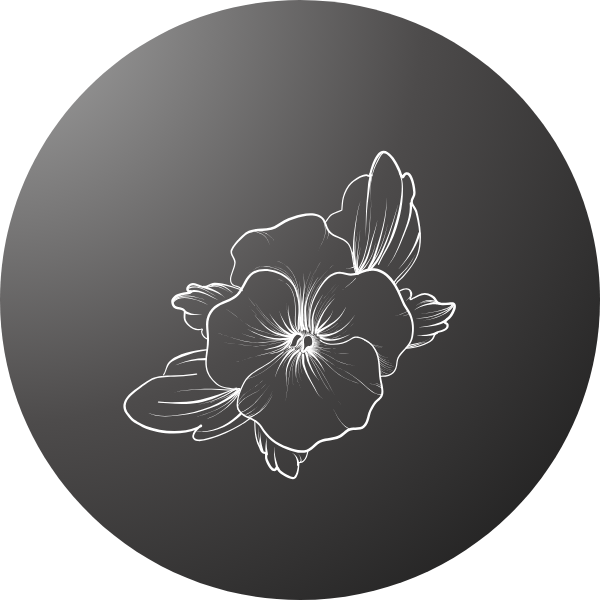 Easy-to-grow edible flowers – Add beauty and flavor to your meals.