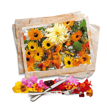 edible flower seeds collection in Pakistan