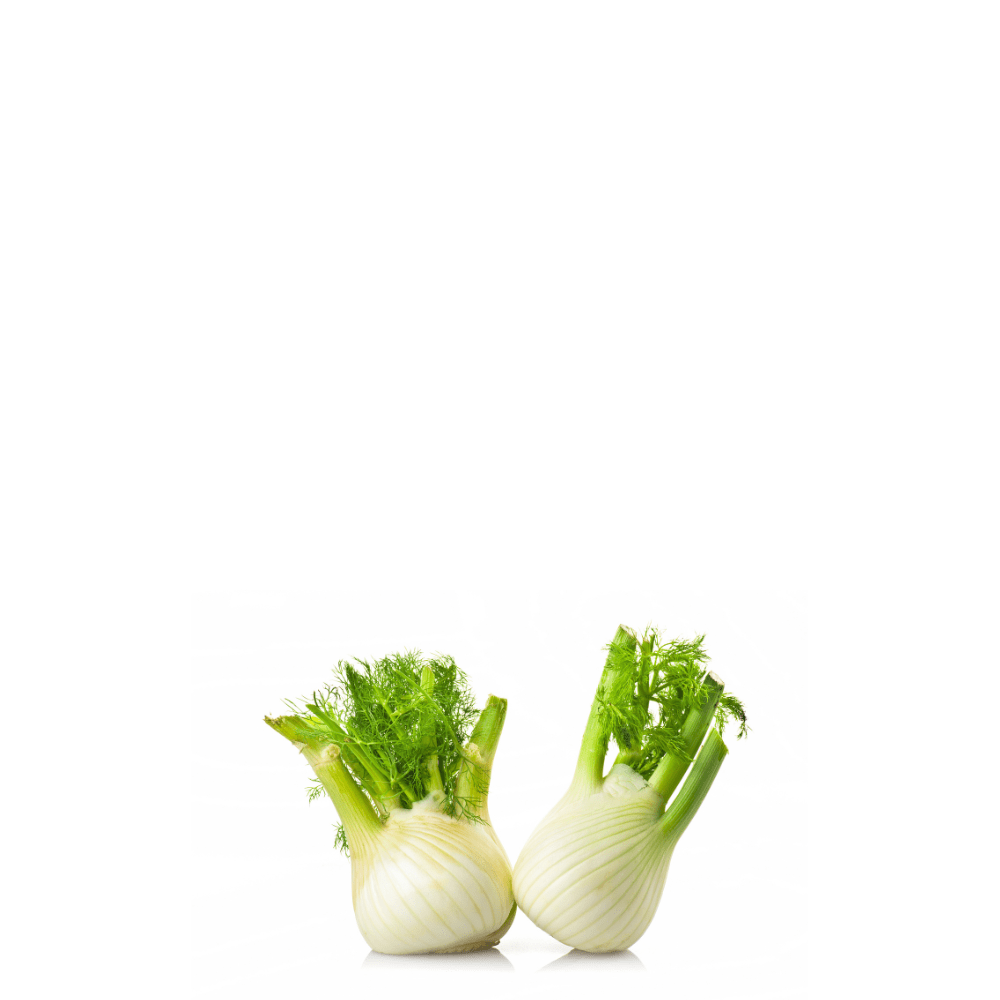 Fennel ( Sounf ) Herb Seeds - Apnaugao