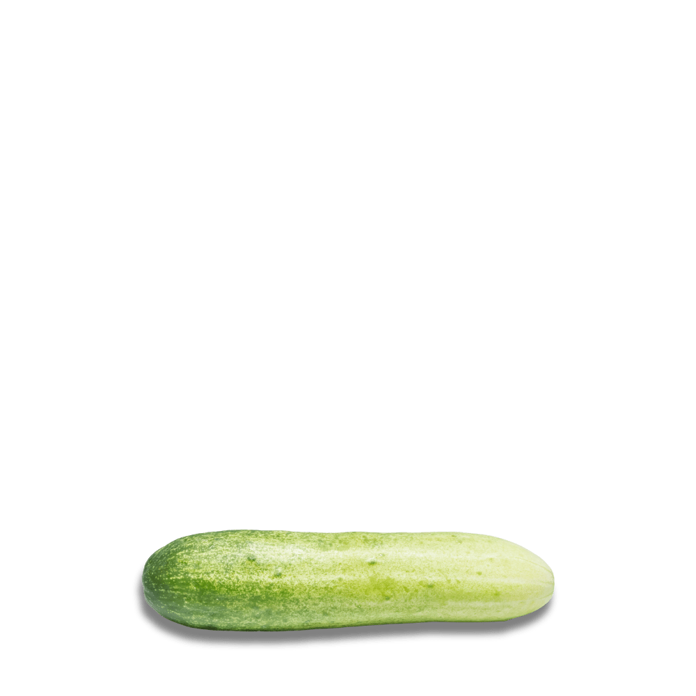 Heirloom Cucumber Seeds - Cornichon de Paris - Apnaugao