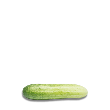 Heirloom Cucumber Seeds - Cornichon de Paris - Apnaugao