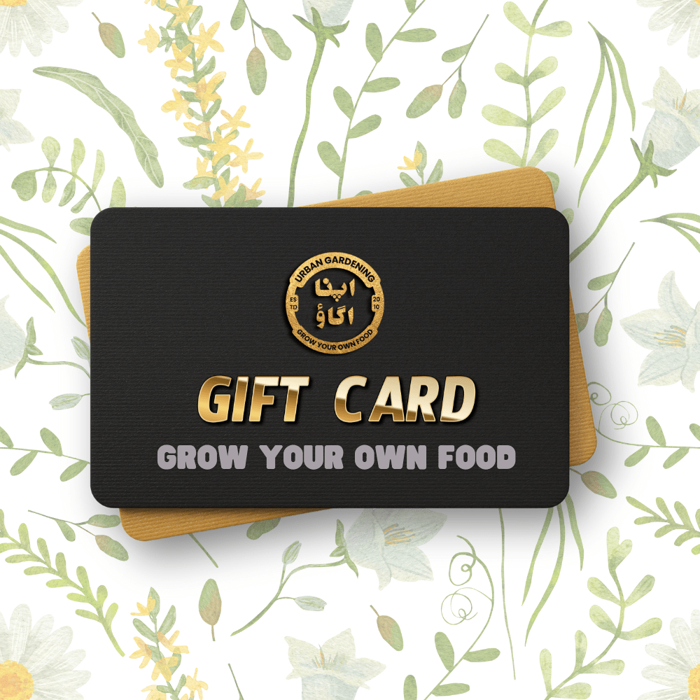 GYOF Gift Card - Apnaugao